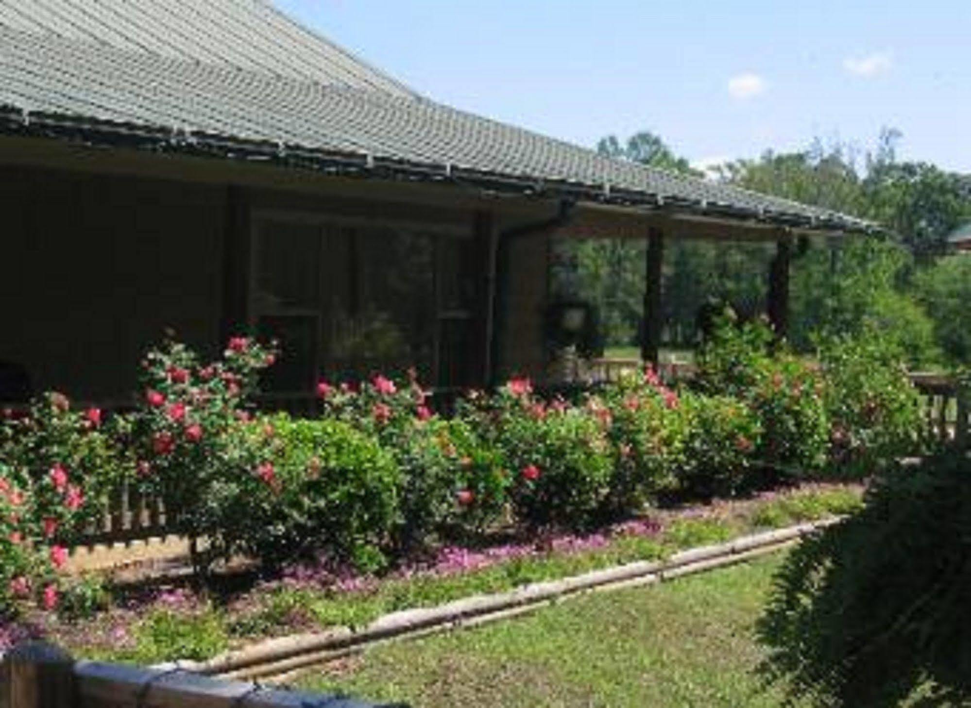 Pine Creek Country Inn نكغدوشس المظهر الخارجي الصورة