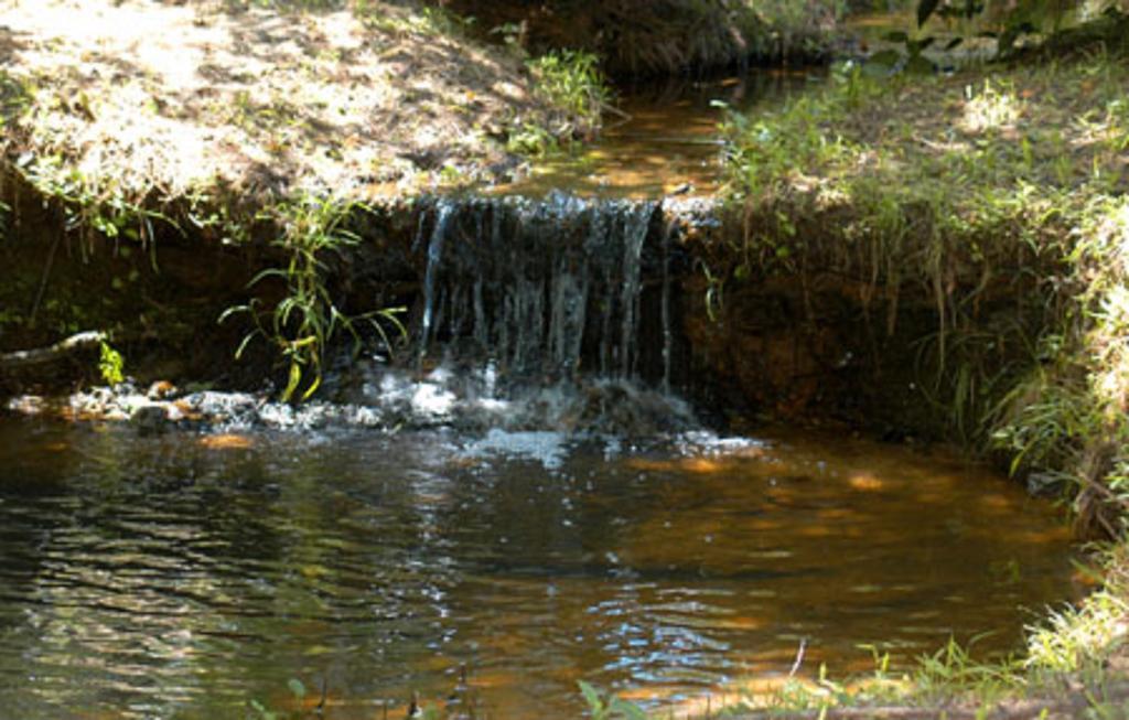Pine Creek Country Inn نكغدوشس المظهر الخارجي الصورة